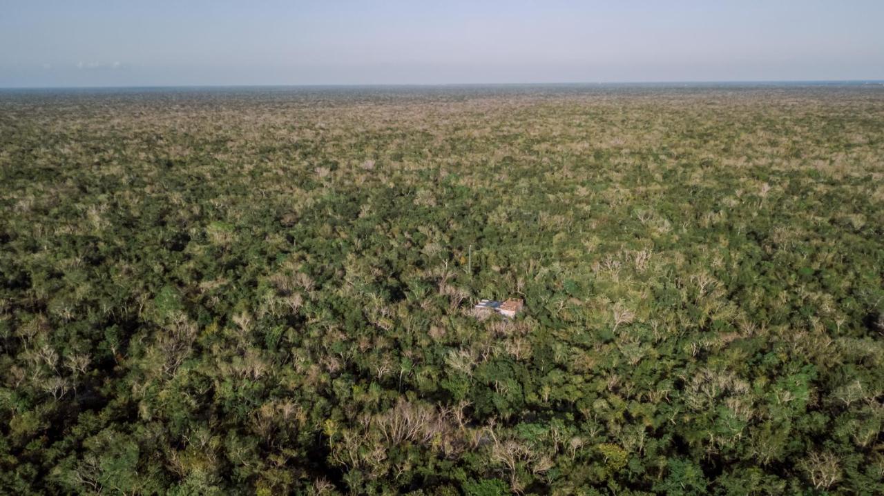 Naum - Secluded Villa With Private Cenote Тулум Экстерьер фото