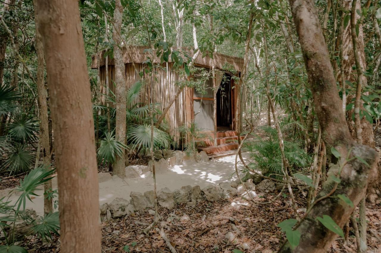 Naum - Secluded Villa With Private Cenote Тулум Экстерьер фото