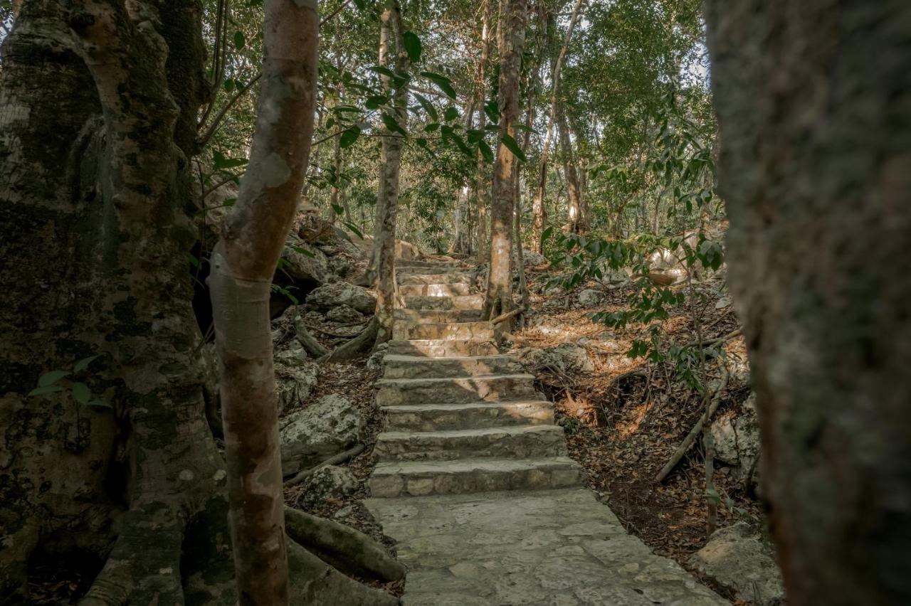 Naum - Secluded Villa With Private Cenote Тулум Экстерьер фото