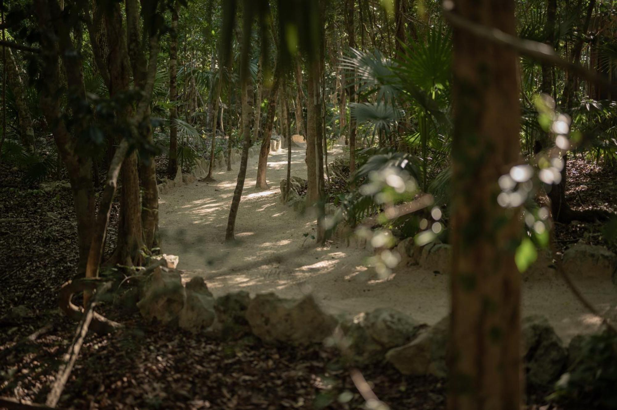 Naum - Secluded Villa With Private Cenote Тулум Экстерьер фото